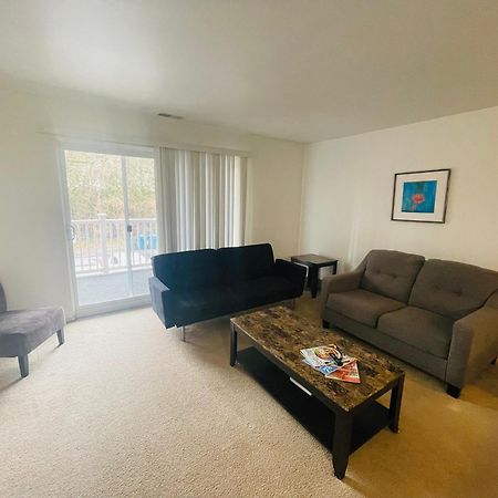 Large, Clean, Comfortable, 1Br Near Einstein Hos Elkins Park Exteriör bild