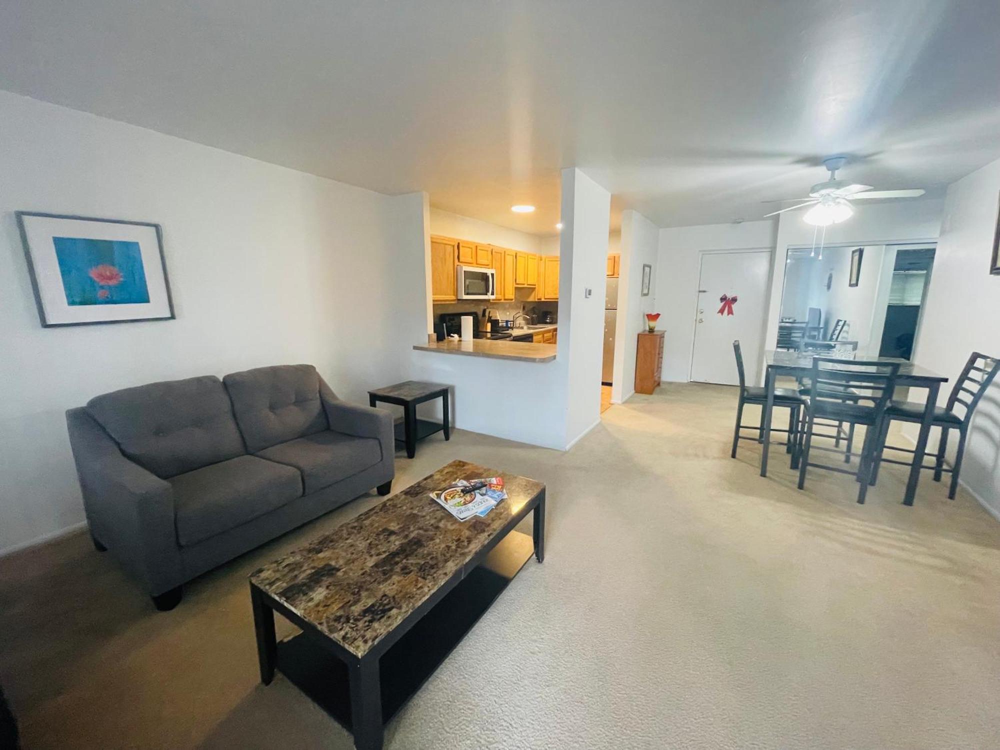 Large, Clean, Comfortable, 1Br Near Einstein Hos Elkins Park Exteriör bild